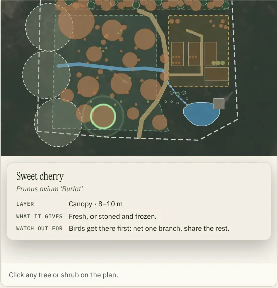 An example garden plan on an aerial photo, with a card for a sweet cherry tree