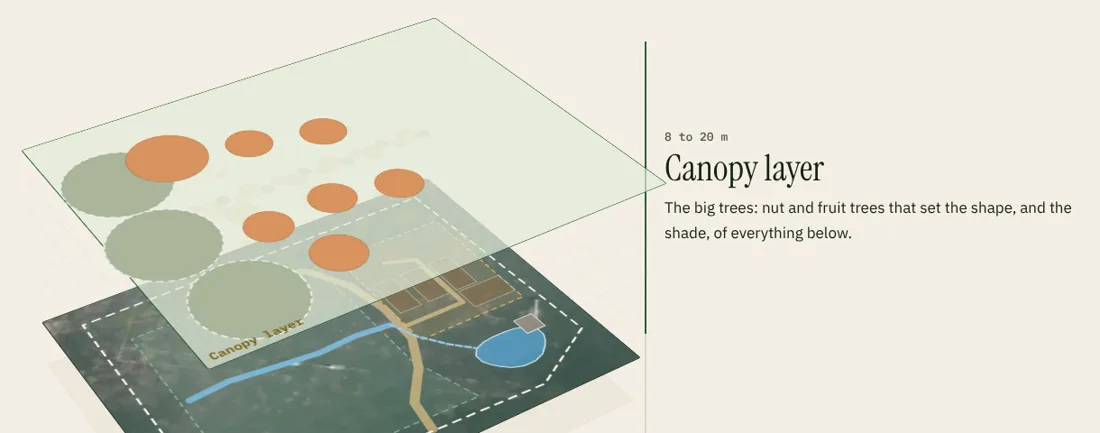The garden plan split into stacked layers, the canopy layer on top
